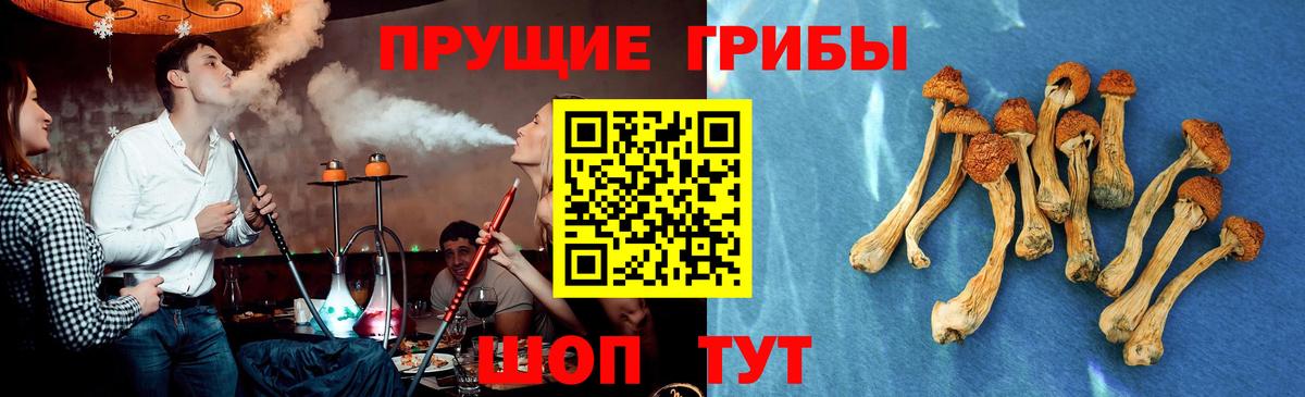 Галлюциногенные грибы Magic Shrooms  Галлюциногенные грибы Magic Shrooms  Кимры  Вход с VPN 